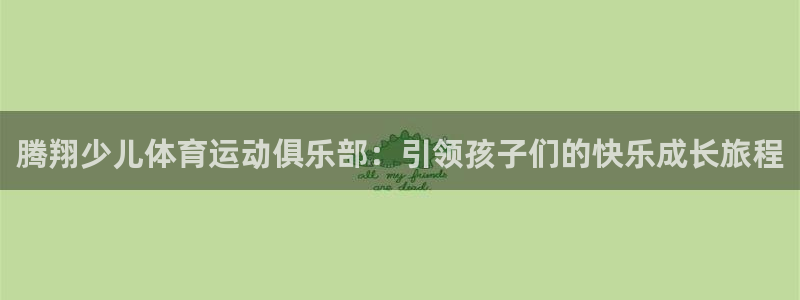 腾翔少儿体育运动俱乐部：引领孩子们的快乐成长旅程